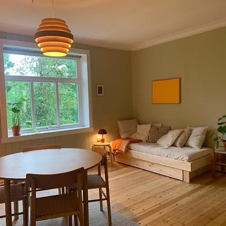 Cozy Rustic Διαμέρισμα Μπέργκεν
